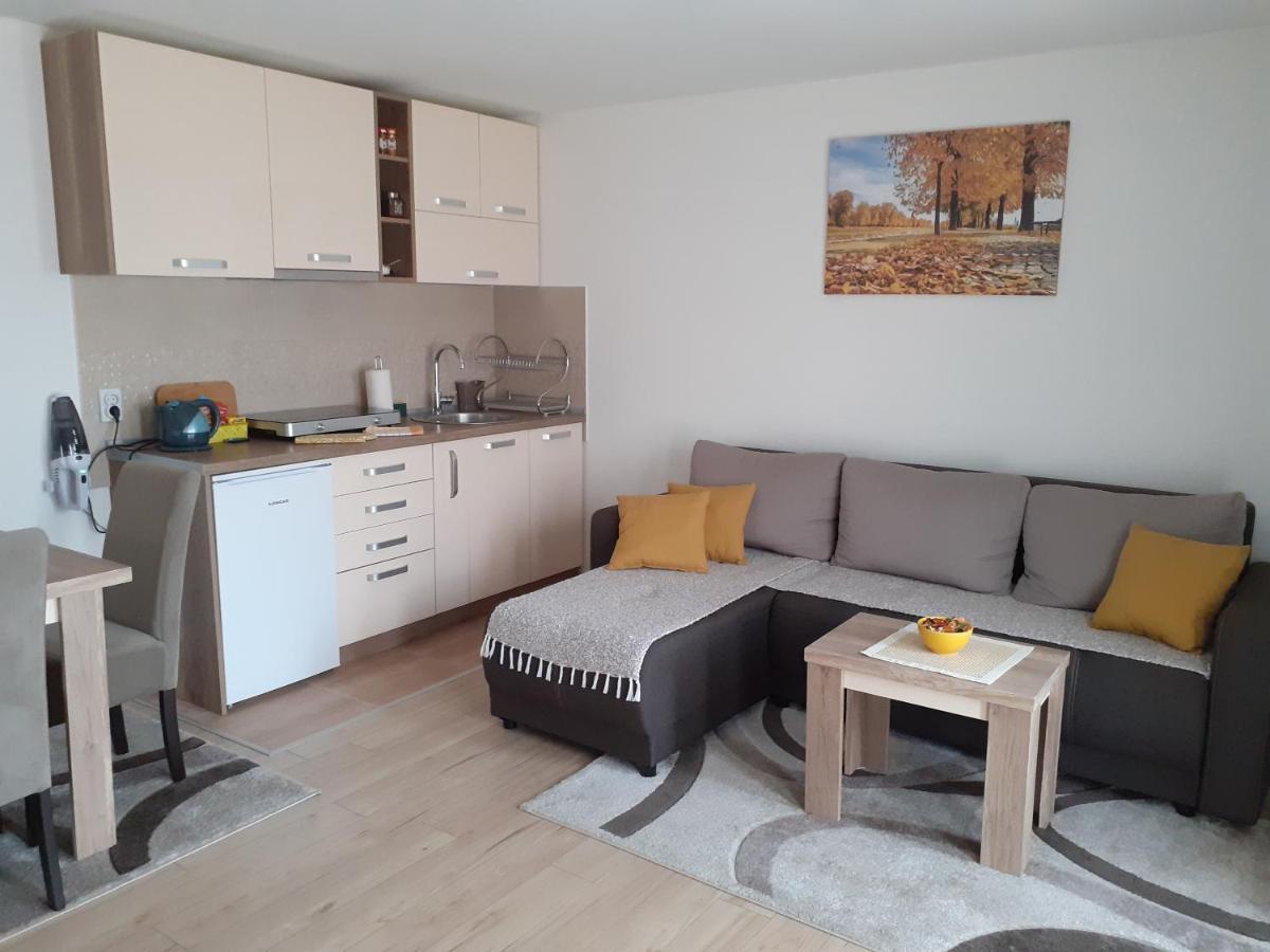 Apartman Nena Пирот Екстериор снимка